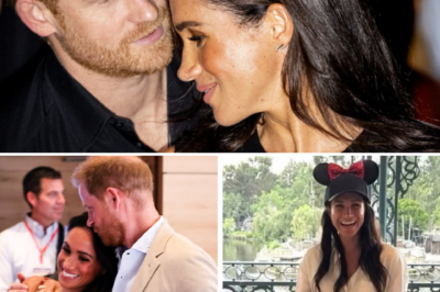 Did Meghan truly manipulate Harry? Her arrival marked a seismic shift in the long-standing traditions of the Royal Family