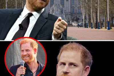 Hitting a Humiliating Limit: Shunned by a Public That Refuses to Buy, Harry Forced into an Unthinkable Climbdown for Upcoming Melbourne Speech!