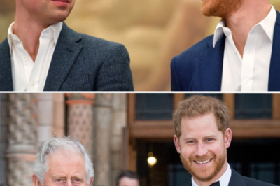 There’s no point in continuing to fight anymore: Harry opens up about the rift and his hopes for reconciliation with the family