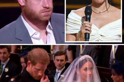 A SUDDEN TWIST: Prince Harry’s “intimate” messages to a journalist exposed — featuring words that go far beyond professional