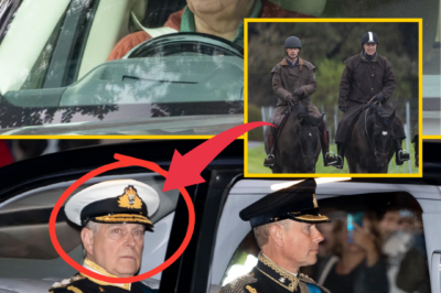 “TIME TO BACK OFF, ANDY?” — Prince Edward breaks royal silence with tense visit to Andrew in exile