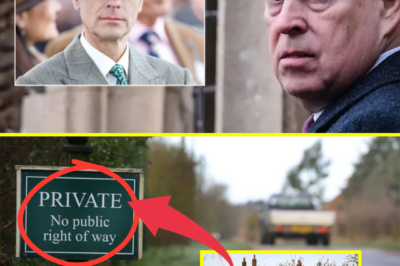 PRIVATE VISIT SPARKS QUESTIONS — Prince Edward makes rare move to see Andrew for a “quiet word”