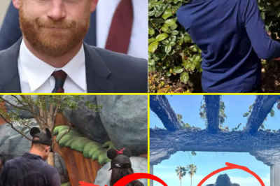 What should have been a routine royal-style visit quickly turned deeply personal when Prince Harry opened up about the hidden emotional toll of being a father — and the unexpected “disconnection” he sometimes feels with his son, Archie Harrison Mountbatten-Windsor