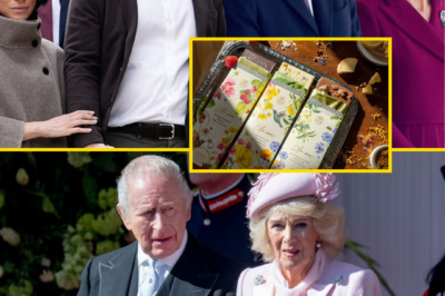 The Sussexes’ calendar is ramping up with their upcoming Australia visit and a raft of new TV deals, but they risk overshadowing their UK royal family