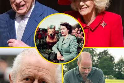 The gift itself wasn’t extravagant or royal — in fact, it was something small, almost playful