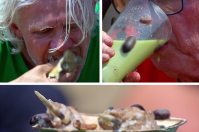 “VIEWERS COULDN’T WATCH…” — Jimmy Bullard Forces Down SHOCKING Dishes to Beat Harry Redknapp in Sickest Trial Ever
