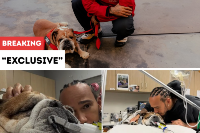 F1 Star Lewis Hamilton in Emotional Breakdown While Remembering Beloved Dog Roscoe
