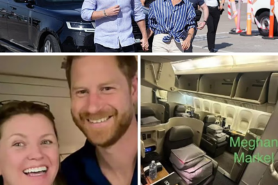 Passenger Shocked After Sitting Next to Prince Harry and Meghan on Flight—Claims She Overheard Private Conversation