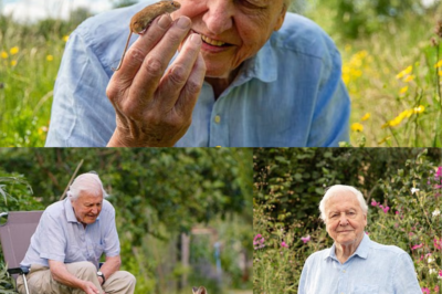 Viewers Call David Attenborough’s Latest Documentary ‘Pure Magic’ – The Must-Watch Film of the Season!