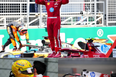 Lewis Hamilton’s heartfelt message after a tough race has left millions of fans emotional