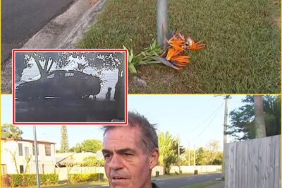 I HEARD A SCREAM I’LL NEVER FORGET… BUT IT WAS TOO LATE: Ha-unting Twist After Toddler, 3, Fat-ally Hit by Ute