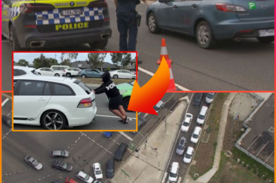 FROM GIVEAWAY TO GRIDLOCK — CCTV Shows Melbourne Petrol Station Descend Into Complete Chaos Over $100K Fuel Promotion