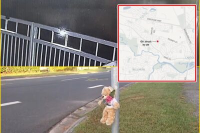 THE FOOTAGE STOPS… THEN EVERYTHING GOES WRONG: Distu-rbing CCTV Twist After Toddler, 3, Fata-lly Hit on Family Walk