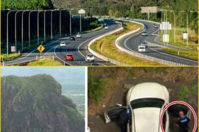 SHE WASN’T ALONE… OR WAS SHE? — Distu-rbing witness account from Mount Tibrogargan de-ɑth case sparks new mystery