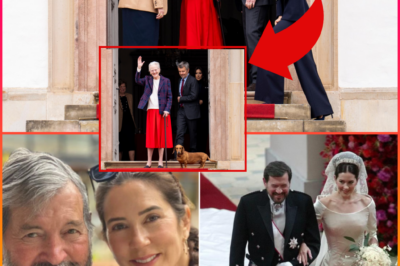 ‘MY THOUGHTS ARE GREY…’ — Queen Mary’s first appearance after devastating l0ss reveals more than she says