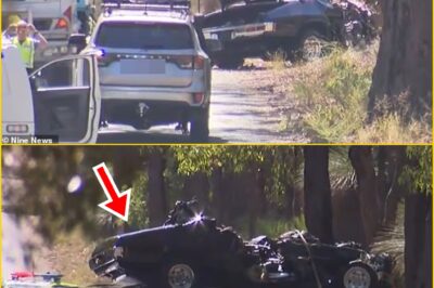 SECONDS FROM DISASTER: Triple Fatal Crash Leaves Car UNRECOGNIZABLE — And a Dark Twist Investigators Can’t Ignore