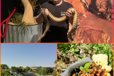 WE HEARD THE IMPACT… THEN SILENCE — Community in Sh0ck After 11-Year-Old Michael Judge’s Tra:gic De-ath on Easter Monday