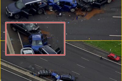 A Split Second… AND A LIFE GONE FOREVER — 12-Year-Old Among Victims in Devastating Monash Freeway Pile-Up