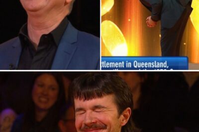 HE JUST LOST IT ON LIVE TV! — Todd Woodbridge reportedly ‘collapses’ into chaos mid-broadcast after a contestant’s sh0cking response leaves the studio stunned