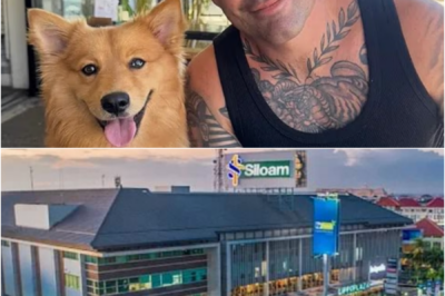 WHEN FOUND, THE V-ICTIM WAS STILL BRE-ATHING… — Police Reveal New Details in Australian Man’s De-ath at Bali Hotel