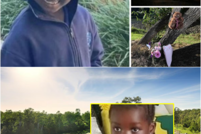 💔 LOVELY, SHY, CARING, AND… — HEARTBREAKING TRIB:UTE AFTER 7-YEAR-OLD GIRL DR0WNS IN IPSWICH, LEAVING EVERYONE IN TEARS…