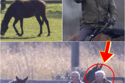 ANDREW MOUNTBATTEN-WINDSOR CAUGHT INSPECTING HORSES AFTER RIDING BAN SPARKS ROYAL SPECULATION!