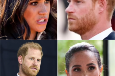 THREE SH0CKING WORDS — Meghan Markle suddenly speaks out after Prince Harry admits he ‘never wanted’ royal life… and everything instantly turns tense…