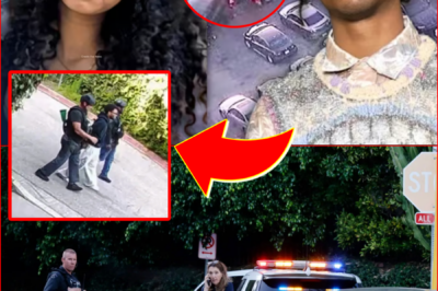 EXCLUSIVE FOOTAGE LE-AKED: Video Shows d4vd Surrounded by Armed Officers in Tense Encounter