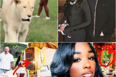 NEW DETAILS EMERGE… — Inside Ashlee Janae’s Zanzibar villa as authorities review information tied to the case