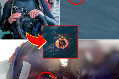 22 HOURS ADRIFT… — A dive instructor and student found alive after a terri-fying ordeal off the Queensland coast