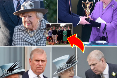 SEVEN-WORD REMARK THAT CHANGED EVERYTHING… — Late revelation about Queen Elizabeth II and Prince Andrew is sparking renewed debate…