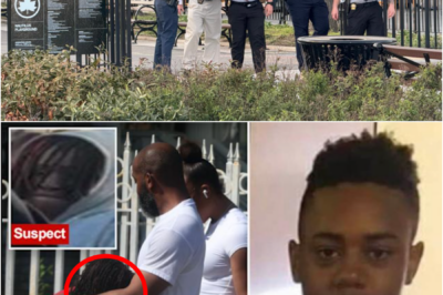 HEARTBREAKING W-A-RNING… — Mother of 15-year-old ki-lled in NYC park sh00ting speaks out after shocking incident and recorded footage