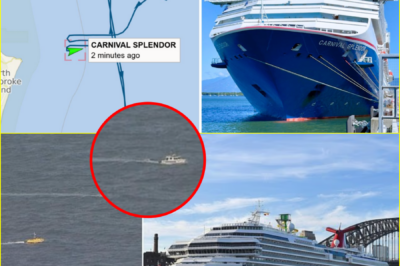 CAUGHT ON CAMERA… — CCTV on Carnival Splendor is believed to have captured events leading up to passenger going overboard off Queensland