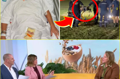 OFF YOU FL0AT… — The founder of Carman’s Muesli reveals a near-de-ath moment, describing a strangely calm feeling that has left many unsettled