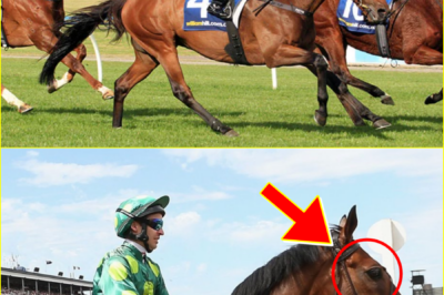 A SILENT TRACK… — The racing world is in mourning following the pa-ssing of champion Precedence, trained by legendary Bart Cummings, at the age of 20