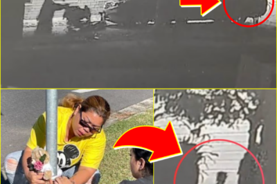 JUST STEPS AWAY FROM HER FAMILY… — 3-Year-Old Girl Fat-ally Struck by Ute in Queensland