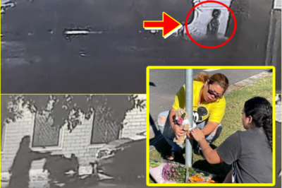 IT WAS ALL SO NORMAL… — CCTV Shows Final Moments of Toddler Walking With Family Seconds Before Fat-al Queensland Crash