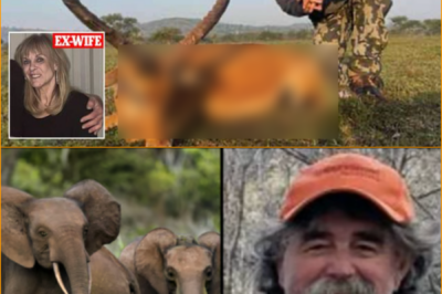 IT’S A HUGE SH0CK… — FAMILY OF MILLIONAIRE BIG-GAME HUNTER REACTS AFTER TRAG-IC ELEPHANT ATT-ACK 👇