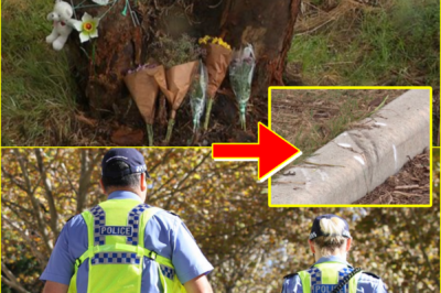 Our hearts are truly broken… — Police issue heartbreaking statement after two girls, aged 3 and 4, di-e following horrific car crash into tree in Viveash