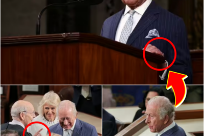 8-WORD VERDICT — King Charles III DRAWS ATTENTION WITH A CONCISE VERDICT DURING HIS ADDRESS TO CONGRESS IN THE United States