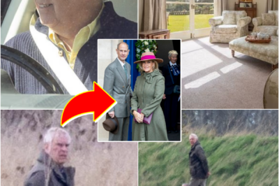 SH0CKING ROYAL EASTER INCIDENT! Prince Edward and Sophie found themselves in an awkward situation following a puzzling move by Andrew Mountbatten-Windsor, leaving royal watchers constantly speculating