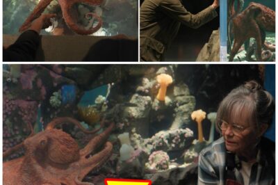 The Grumpy Octopus Everyone Fell In Love With Was Voiced By Alfred Molina — And Fans Can’t Stop Rewatching His Scenes