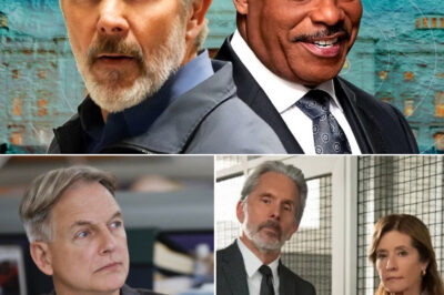 Mark Harmon Finally Reveals What Gibbs Is Doing in Alaska — And NCIS Fans Think the Mystery Is Far From Over