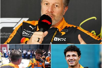 McLaren Boss Zak Brown Speaks Out in Strong Defense of Lando Norris Amid F1 Backlash