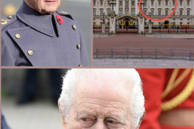 JUST IN: BUCKINGHAM PALACE ‘UNDER THREAT’… — Buckingham Palace is at the centre of a worrying new update after a fresh warning reportedly raised concerns around the historic royal residence.
