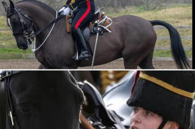 ‘Thank you from the bottom of our hearts’: Grieving mother of fallen soldier Ciara Sullivan breaks silence to thank public