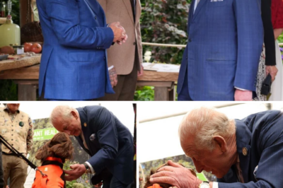 Going Viral: King Charles reunites with Sir David Beckham—and the exact moment His Majesty was “captivated” by an incredibly adorable character