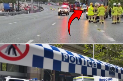 Cruel tragedy on Pacific Motorway: Woman struck and k!:lled at the scene after exchanging details following minor crash