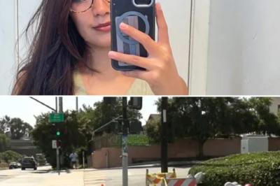 The shocking identity of the driver in the hit-and-run that left a 27-year-old bride-to-be d3:ad at a bus stop