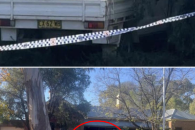 The 67-year-old man suddenly U-turned, flying down the road and smashing straight into the police station storefront at midday